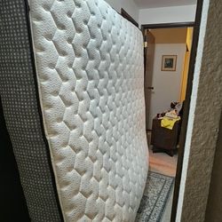 King Mattress For Free