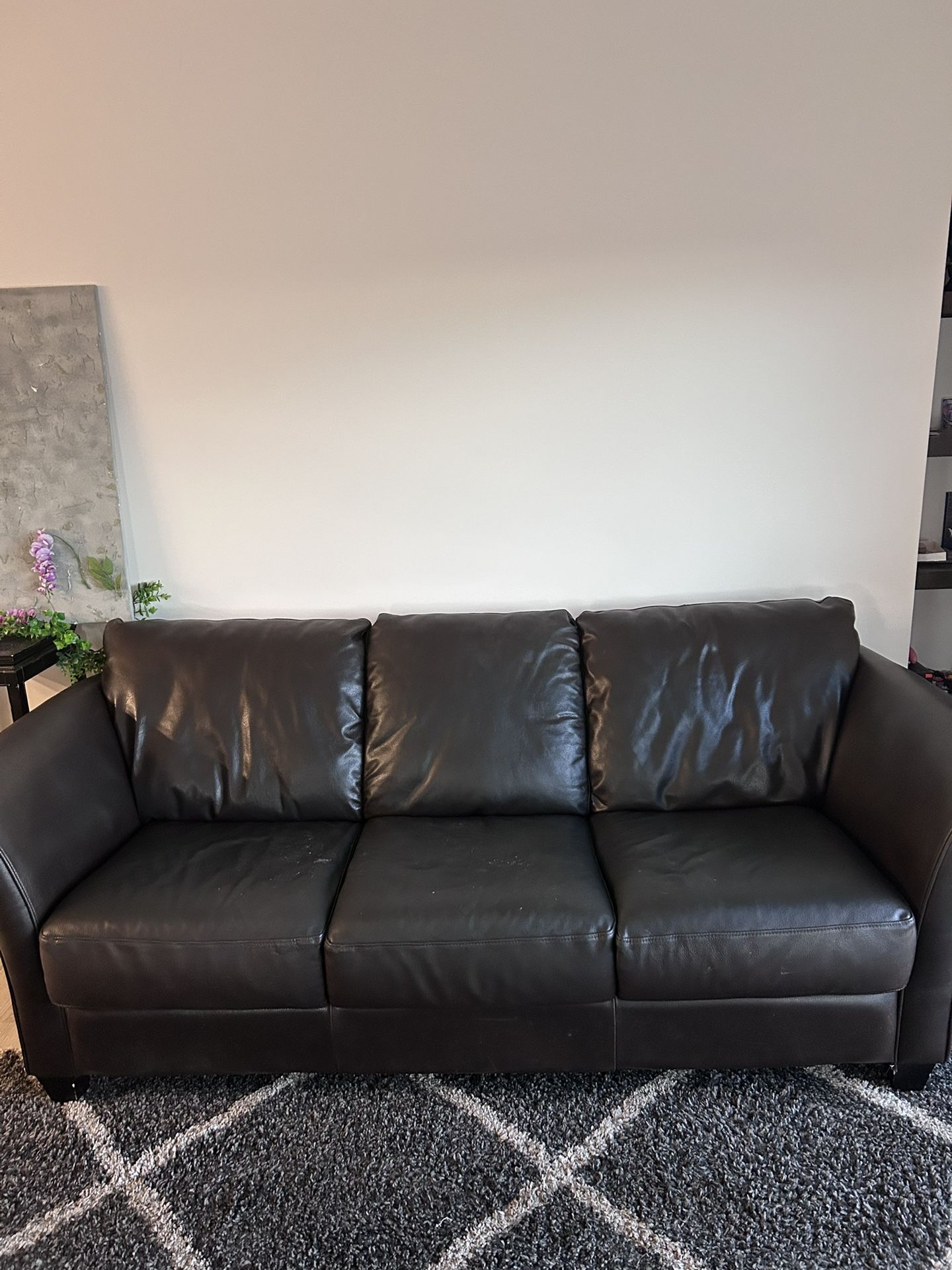 Brown Leather Couch Set (2 couches)