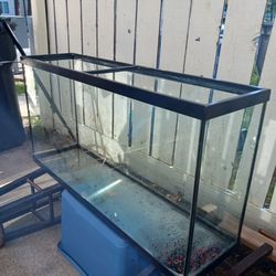 300 gal fish tank. Ready for anything