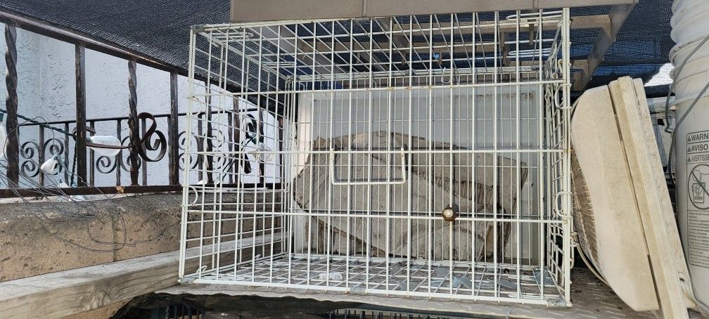 Cage 