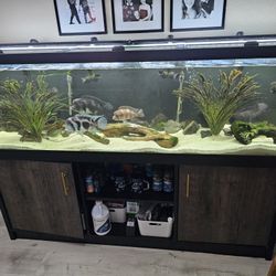 125-Gallon Aquarium & Stand