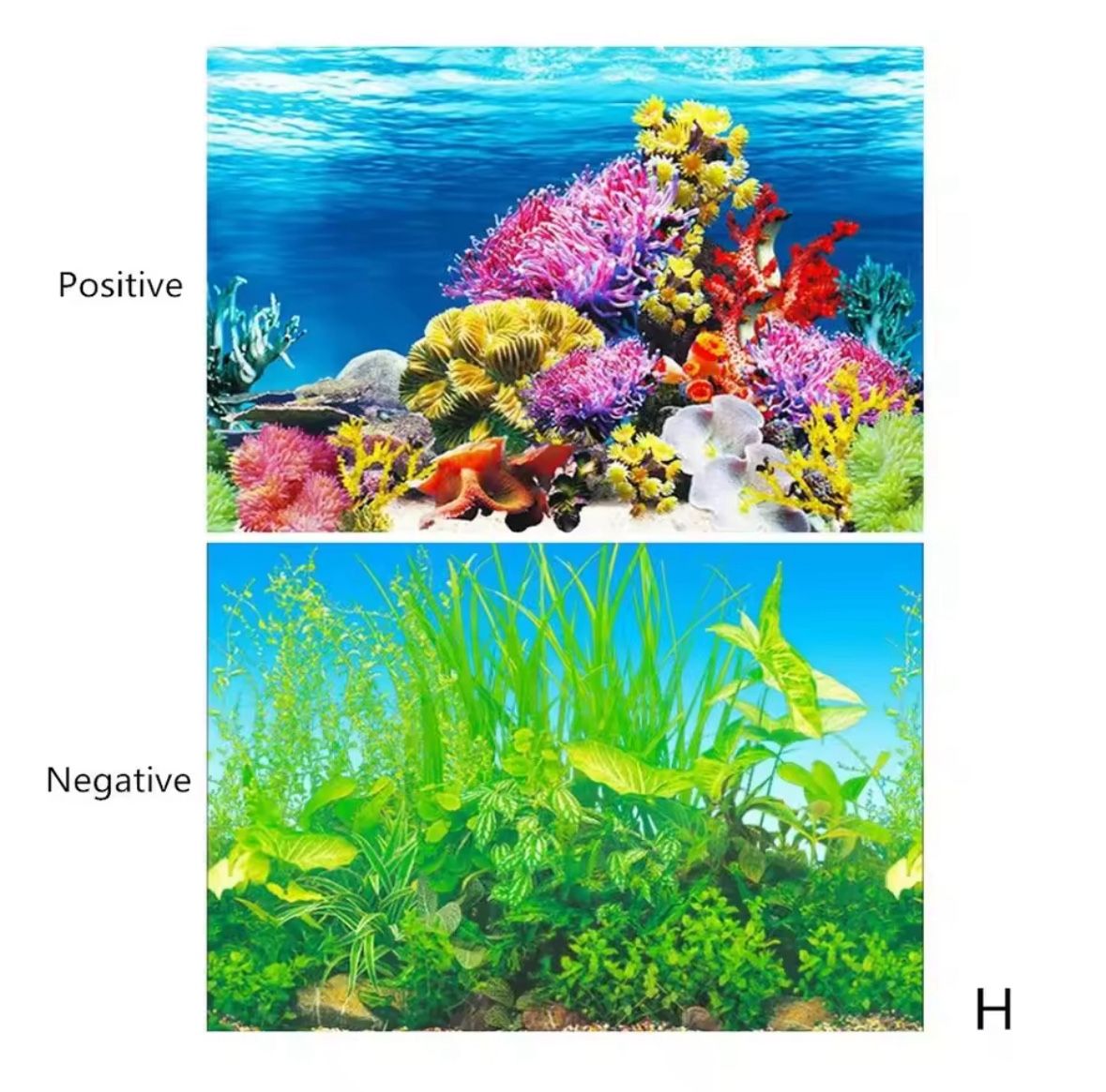 Aquarium Background Sticker Ocean Plant Aquascape Landscape Poster for Fish Tank Decorations