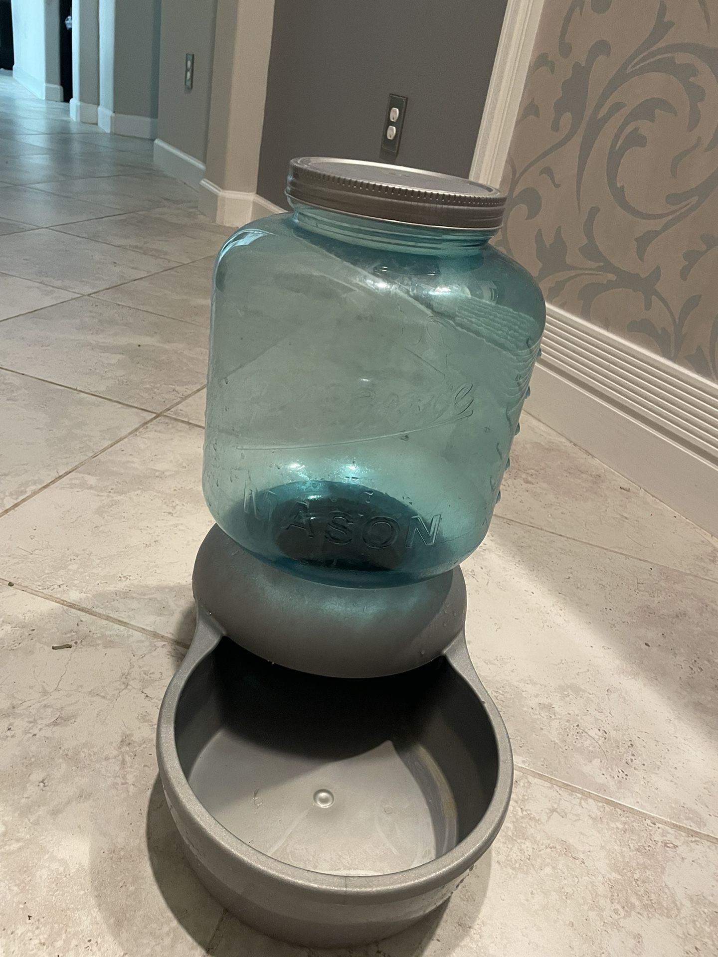 Dog Water Bowl