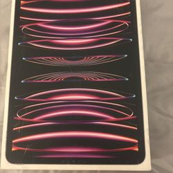 iPad Pro 4th Generation 