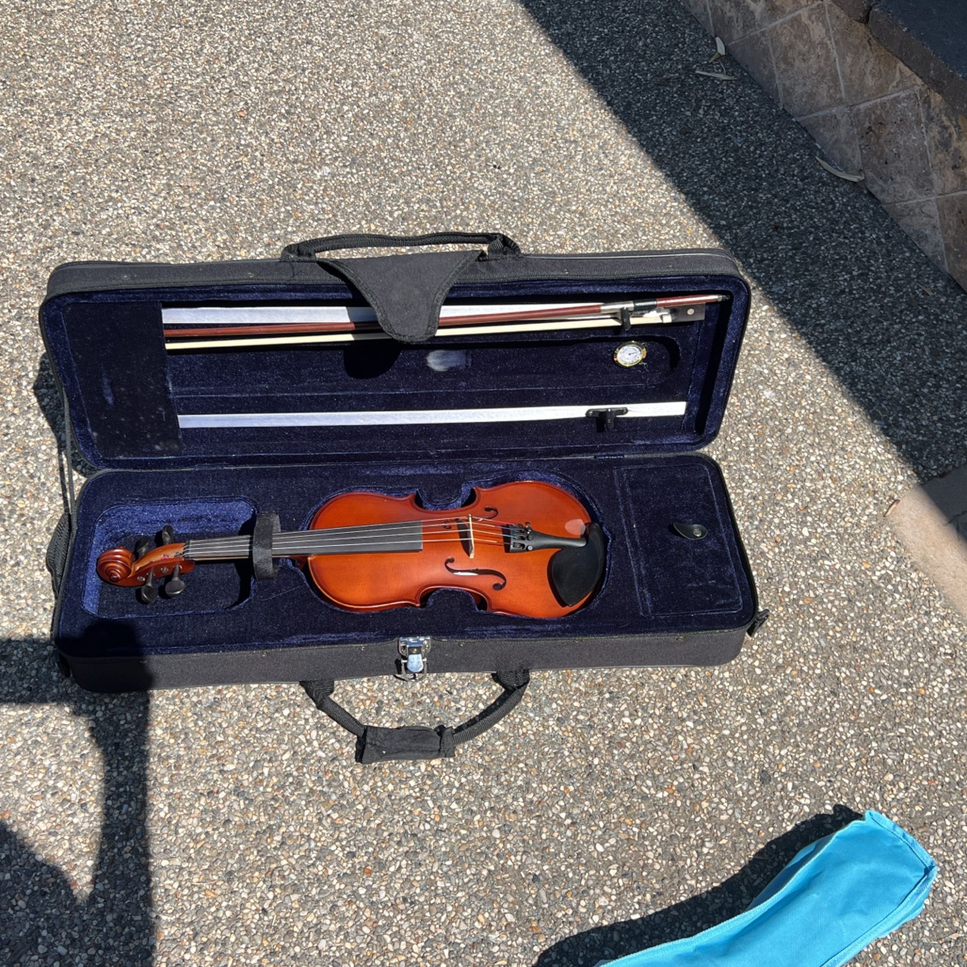 Violin