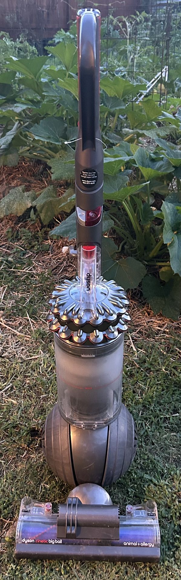 Dyson Cinetic Big Ball Animal+ Allergy > Upright Vacuum | Nickel | Refurbished