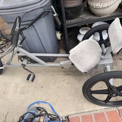 Three Wheel Bike Project Bike 