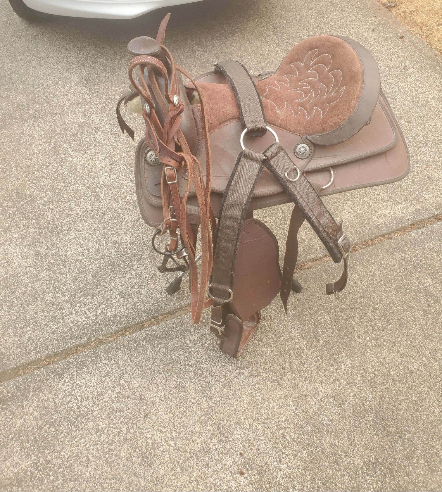 Horse Saddle