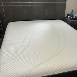 Tempur-pedic Mattress 