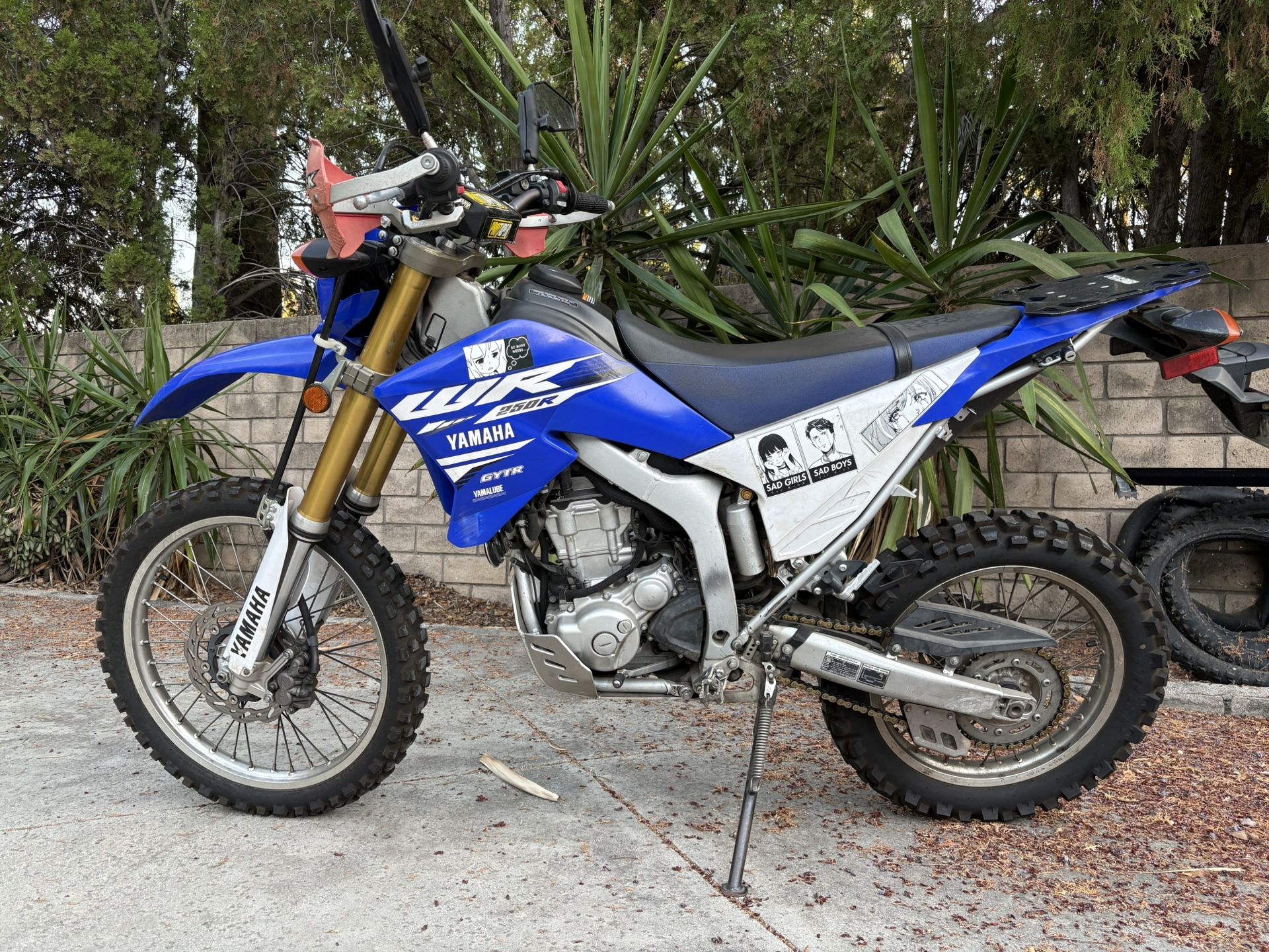 2018 Yamaha WR 250 R
