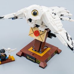  LEGO Harry Potter Hedwig 75979 : Toys & Games
