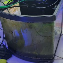 10g Biocube Fish Tank