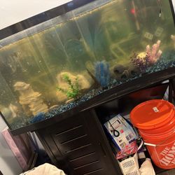 75 Gallon Fish Tank/ Stand/Fish/ Accessories