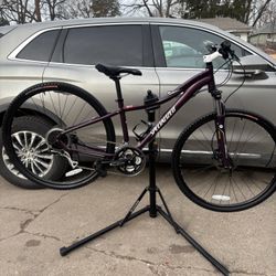 Specialized Ariel Sport Disc Small