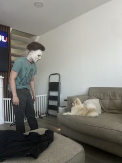 1978 Michael Myers Halloween Cosplay professionally Rehauld