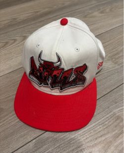 Bulls hat