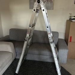 Heavy Duty Ladder 