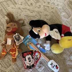Rare Lot Of Disneyland Disney 90s, Y2k, And Now 
