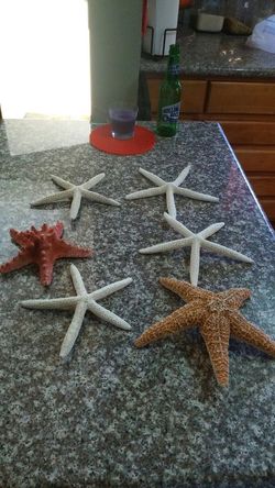 Starfish