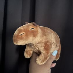Capybara Plush