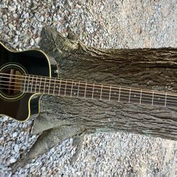 Brand New 5 String Acoustic Electric Bass Guitar 