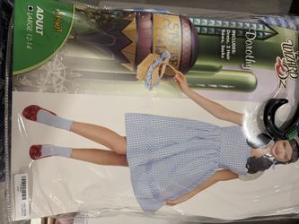 Dorothy Costume