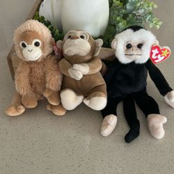 3 Rally Monkeys!