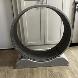 Cat Wheel
