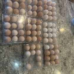 Farm Fresh Eggs 