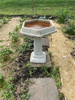 Birdbath (concrete)