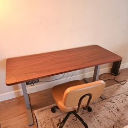 Electric Standing Desk