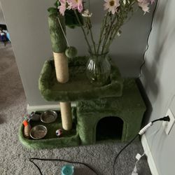 Cat Play House [New]