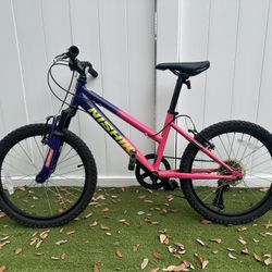 Nishiki 20 Inch Mountain Bike