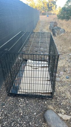 Large Wire dog kennel
