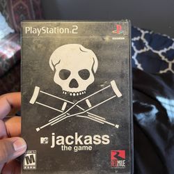 Jackass Video Game