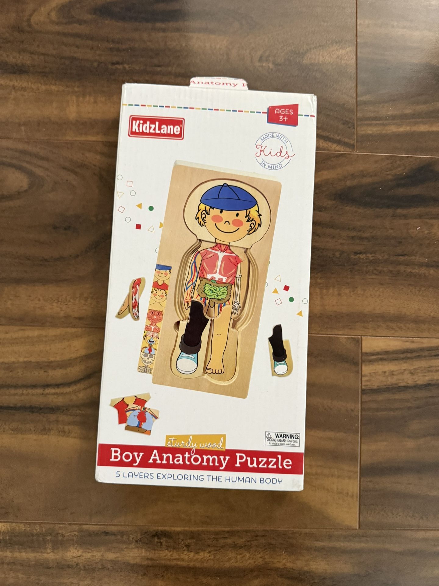 Kidslane anatomy Puzzle