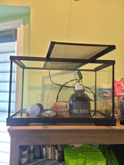 Lizard Cage (Plus Cave Etc.)
