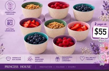 Princess House Wildflower Ceramic Bowl Set
