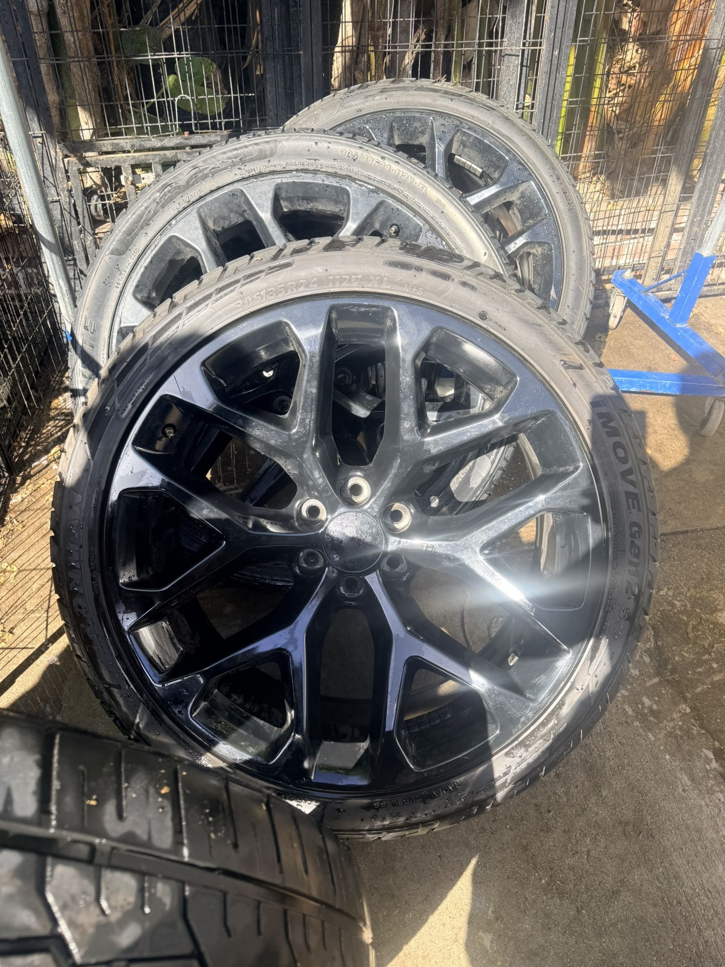 Snowflake Black Rims