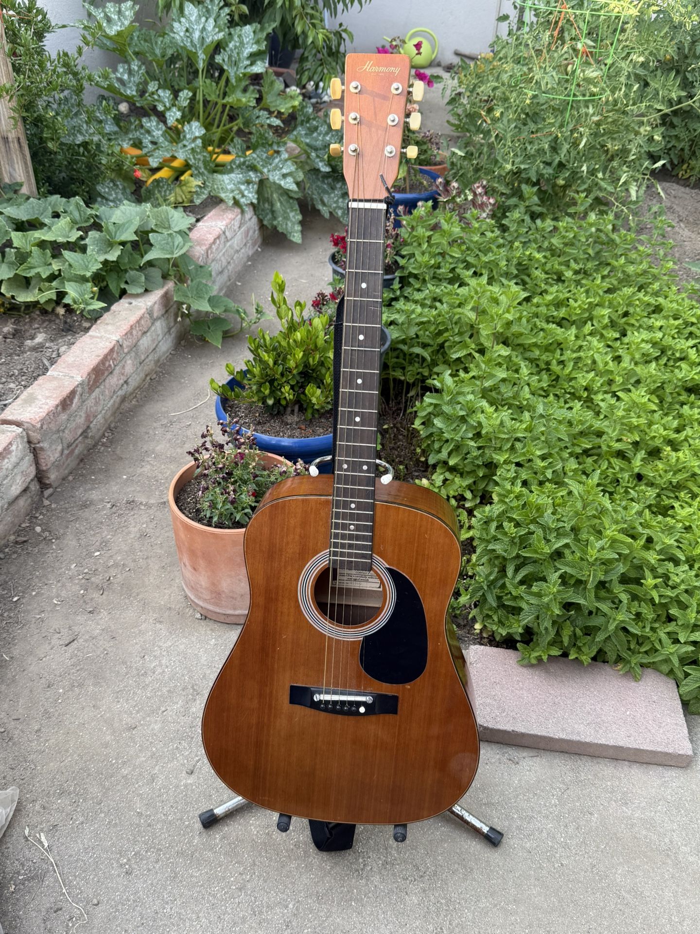 Acoustic Vintage Guitar 🎸