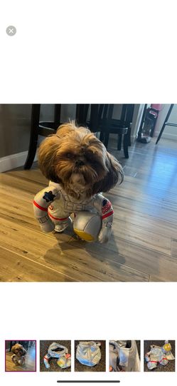 Dog Astronaut Costume And Ghost Pjs