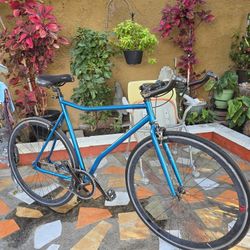 Single Speed Road Bike 