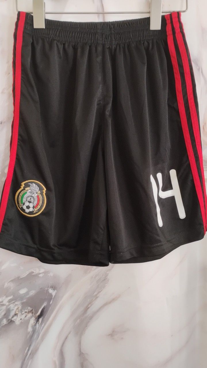 Size L