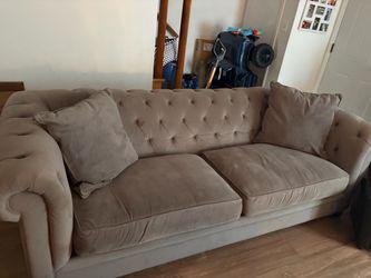 Gray two sofas