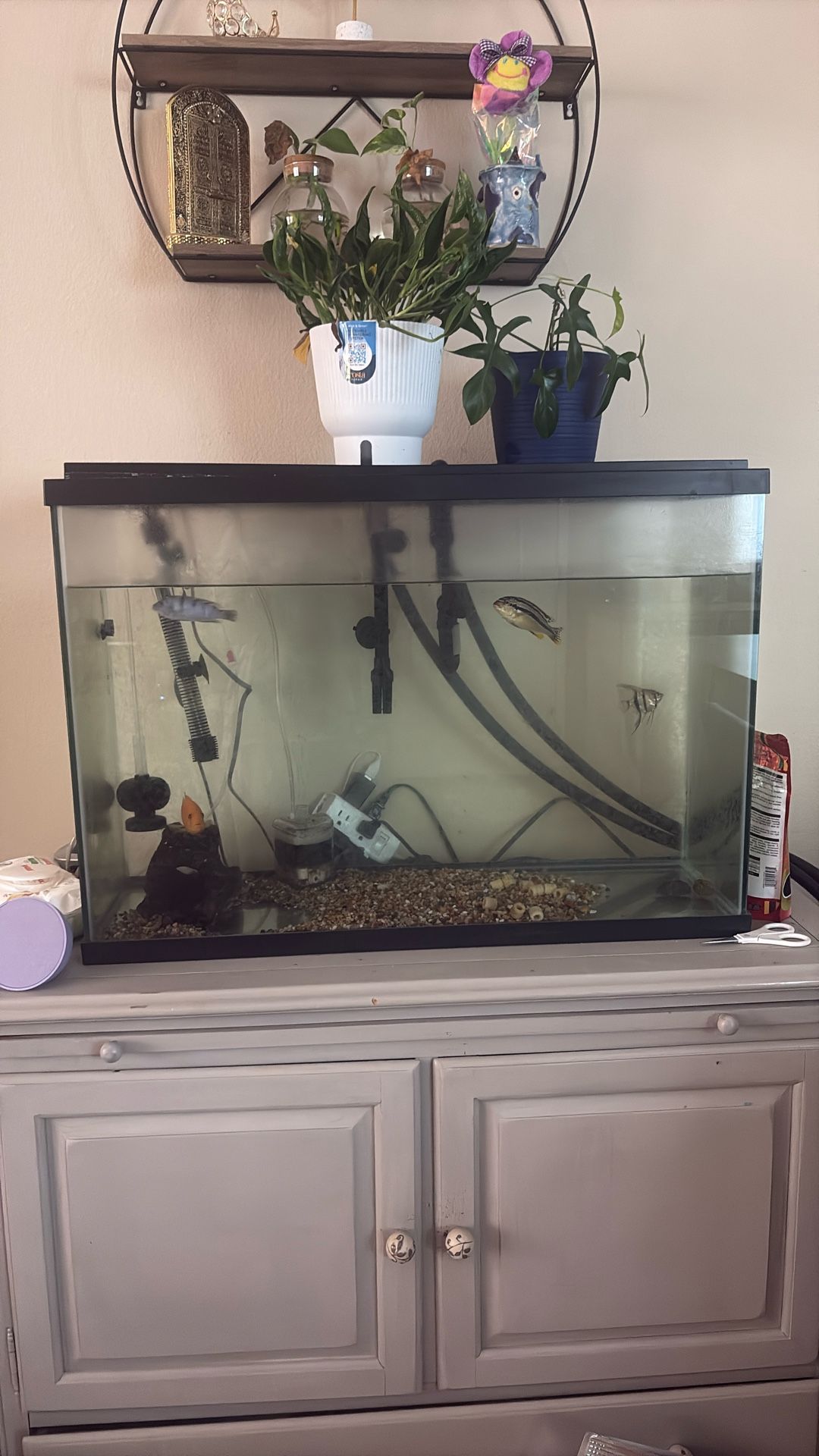 Imagitarium Fish Tank 29 Gal