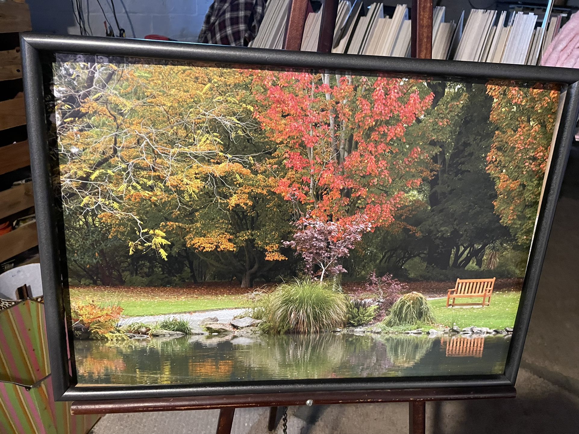 Picture In The Park… Framed In Charcoal Gray