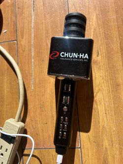 Portable wireless karaoke microphone