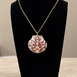 Custom Made Florida Scallop Shell NecklaceDress
