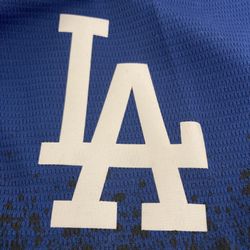 Nike MLB Los Angeles Dodgers City Connect Jersey Trevor Bauer #27 Size L  NWOT for Sale in Murrieta, CA - OfferUp