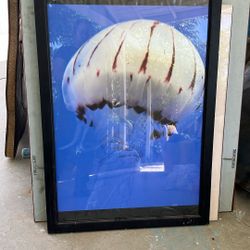 Sea Theme Frames